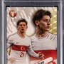 collecturkey